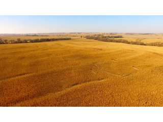 Property photo 33 - LAND AUCTION - 664+/- ACRES OFFERED IN 17 TRACTS IN CASS CO., NEBRASKA